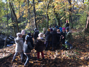 Herbstspaziergang im Grunewald